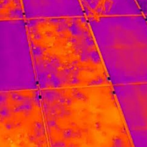 ispezione-danni-da-grandine-termografia-immagine-termica-flir-drone